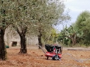 raccolta olive 2019 motore aria compressa