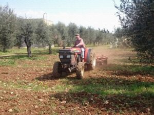  Preparazione alla raccolta 2019 aratura marzo