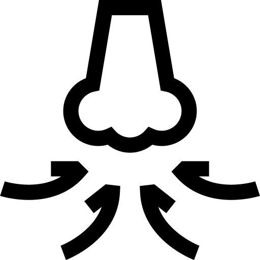 Olfatto